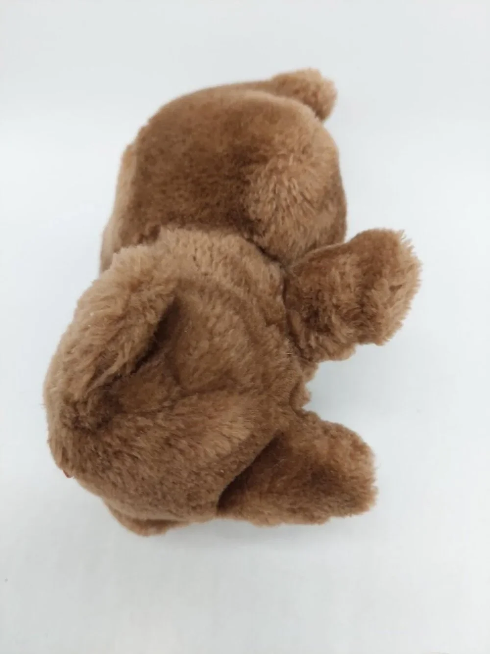 Dakin Bear Teddy Bear Plush Ground Nutshell 6